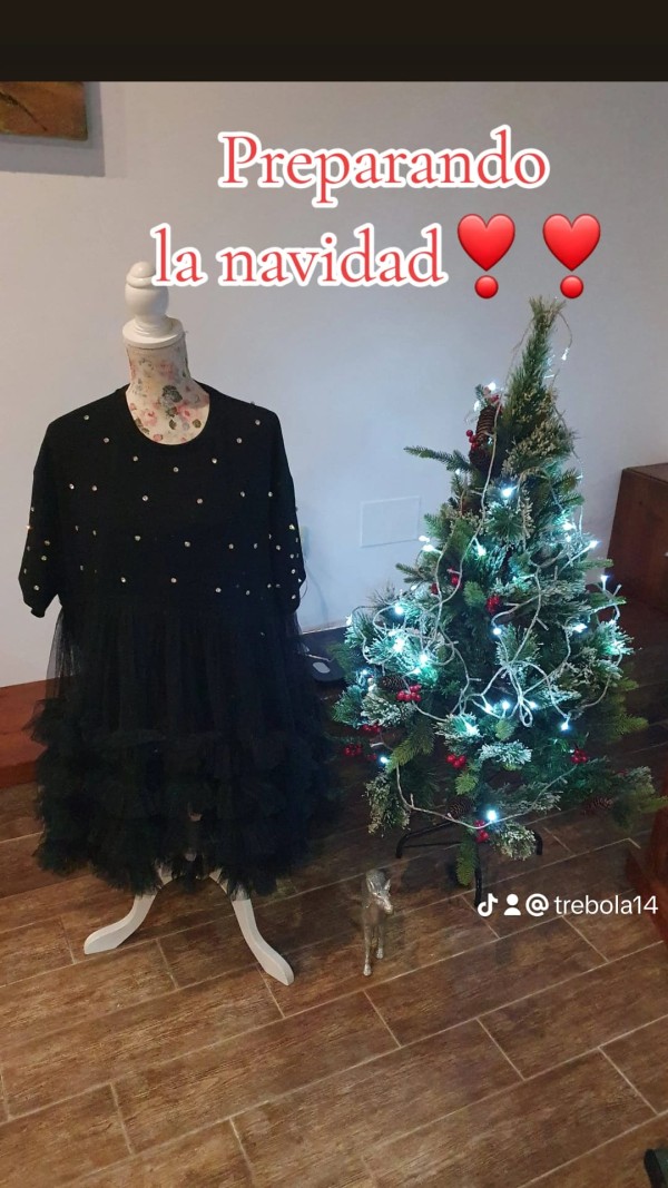 Vestido combinado piedras y tull